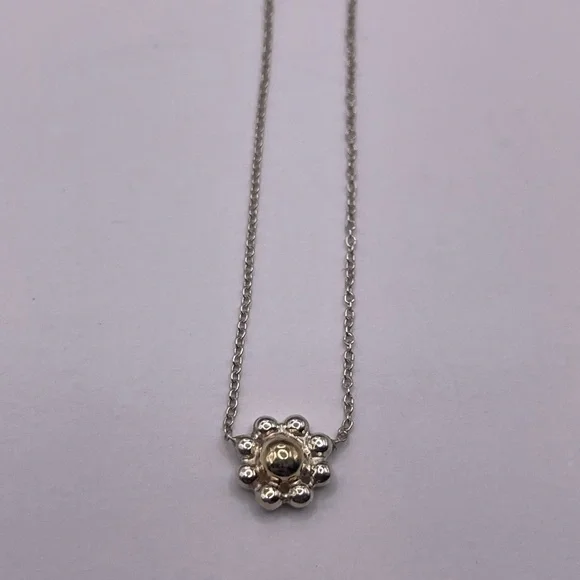 Tiffany & Co. Daisy Necklace with Gold - Picture 1 of 7